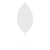 MongoDB